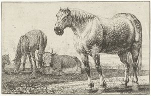 Chevaux et vaches
Dieren (titre de la série)
Zoographiam (titre de la série) - Jan van den Hecke