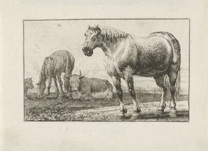Chevaux et vaches - Jan van den Hecke