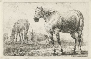 Chevaux et vaches - Jan van den Hecke