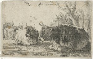Vaches au repos (Dieren, Zoographiam) - Jan van den Hecke