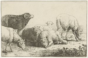 Moutons (Dieren, Zoographiam)