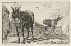 Deux ânes