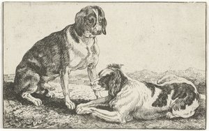 Deux chiens au repos - Jan van den Hecke