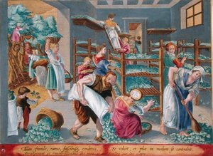 Femmes alignant des étagères avec des feuilles de mûrier pour les vers à soie, planche 5 de 