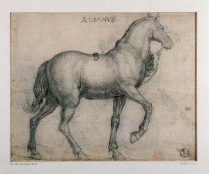 Étude pour un cheval