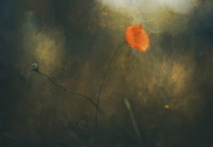  - Jan van der Linden