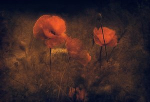  - Jan van der Linden