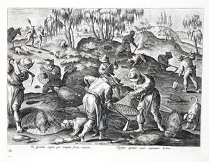 Extraction et capture de porcs-épics, planche 54, illustration de 