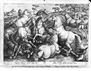 Chevaux dans la nature - Jan van der Straet