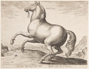 Un cheval français, du premier ensemble de "Equile Joannis Austriaci" - Jan van der Straet, called Stradanus