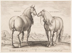 Un cheval romain, du premier ensemble de "Equile Joannis Austriaci"