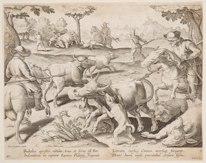 Chasse au Bison, planche 27 de la série Venationes Ferarum, Avium, Piscium - Jan van der Straet, called Stradanus