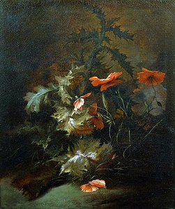 Chardons et coquelicots - Jan van the Elder Kessel