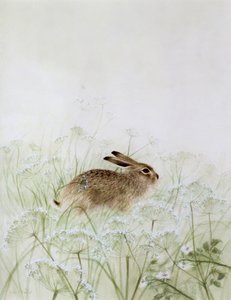 Lapin - Jane Neville