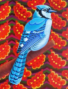 Geai bleu, 2016