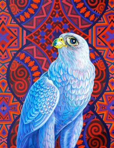 Faucon gris - Jane Tattersfield