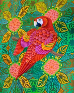 Perroquet rouge, 2021 - Jane Tattersfield