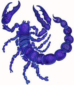 Scorpion