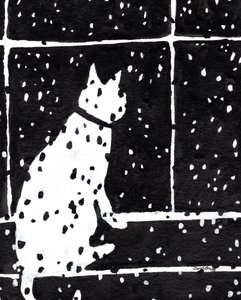Chat à la fenêtre pendant une tempête de neige, vers 2019
