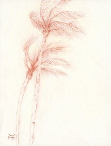 Il était une fois des vacances tropicales Palmiers, c.2019 - Janel Bragg