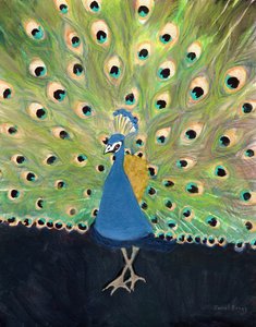 Paon au zoo de Woodland Park, vers 2024 (technique mixte sur papier)