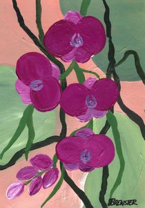  - Janine Brewster