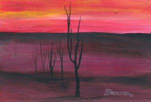  - Janine Brewster