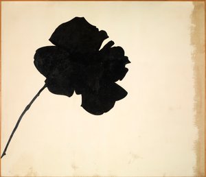 Sans titre - Rose noire - Jannis Kounellis