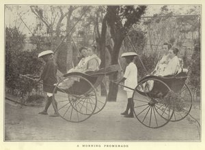 Une promenade matinale - Japanese Photographer