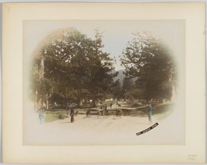 Kasuga, Nara, Japon - Japanese Photographer