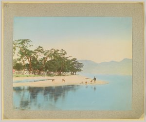 Miyajima, Japon - Japanese Photographer