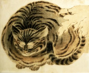 Chat endormi, publié vers 1850 (aquarelle sur papier) - Japanese Photographer