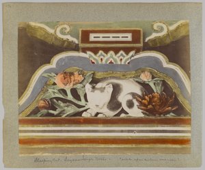 Chat endormi, détail du Tōshō-gū, Nikko, Japon - Japanese Photographer