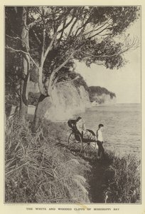 Les falaises blanches et boisées de la baie du Mississippi - Japanese Photographer