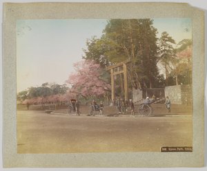 Parc Uyeno, Tokyo, Japon - Japanese Photographer