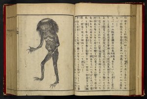 16084.d.15, f.24 Un Neneko Kappa, de 
