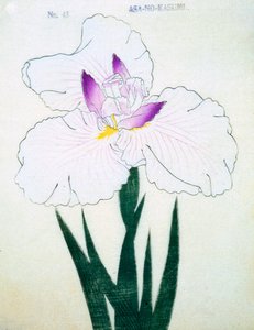 Asa-no.-Kasumi, no.43, 1898 - Japanese School