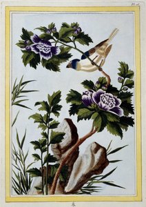 Oiseau - estampe japonaise