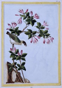 Oiseau - estampe japonaise