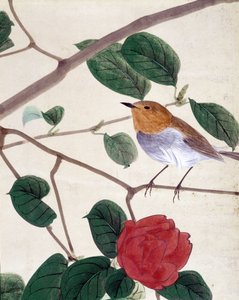 Oiseau et fleurs. Dessin japonais par Riou Chim, fin du 19ème siècle. - Japanese School