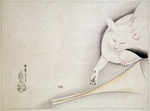 Chat, dessin japonais, n.d. 19e siècle