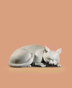 Chat, fin de la période Edo-début de la période Meiji - Japanese School