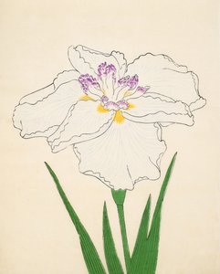 Cho-Hiyen, No. 91, 1890 - Japanese School