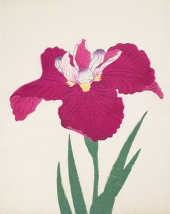 Date-Dogu, No 2, 1890