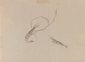 Dessin de deux écrevisses - Japanese School