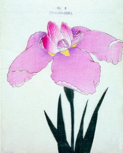 En-U-no.-Sora, no.8, 1898