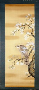 Faucon sur une branche de cerisier japonais en fleurs. Peinture sur soie du 18ème siècle du Japon. Gênes. Museo Chiossone - Japanese School