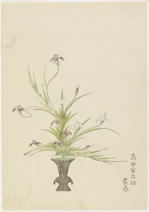 Arrangement Floral par Takada Anritsub? Untai, Iris