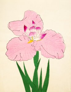 Gaisen, n° 90, 1890