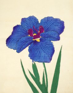 Gosetsu-no.-Mai, no.9, 1898